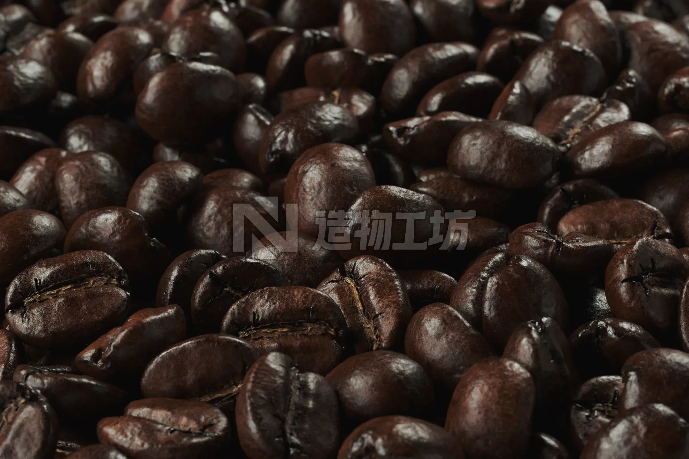 POLYPASTA - Coffeebean 02 3D model