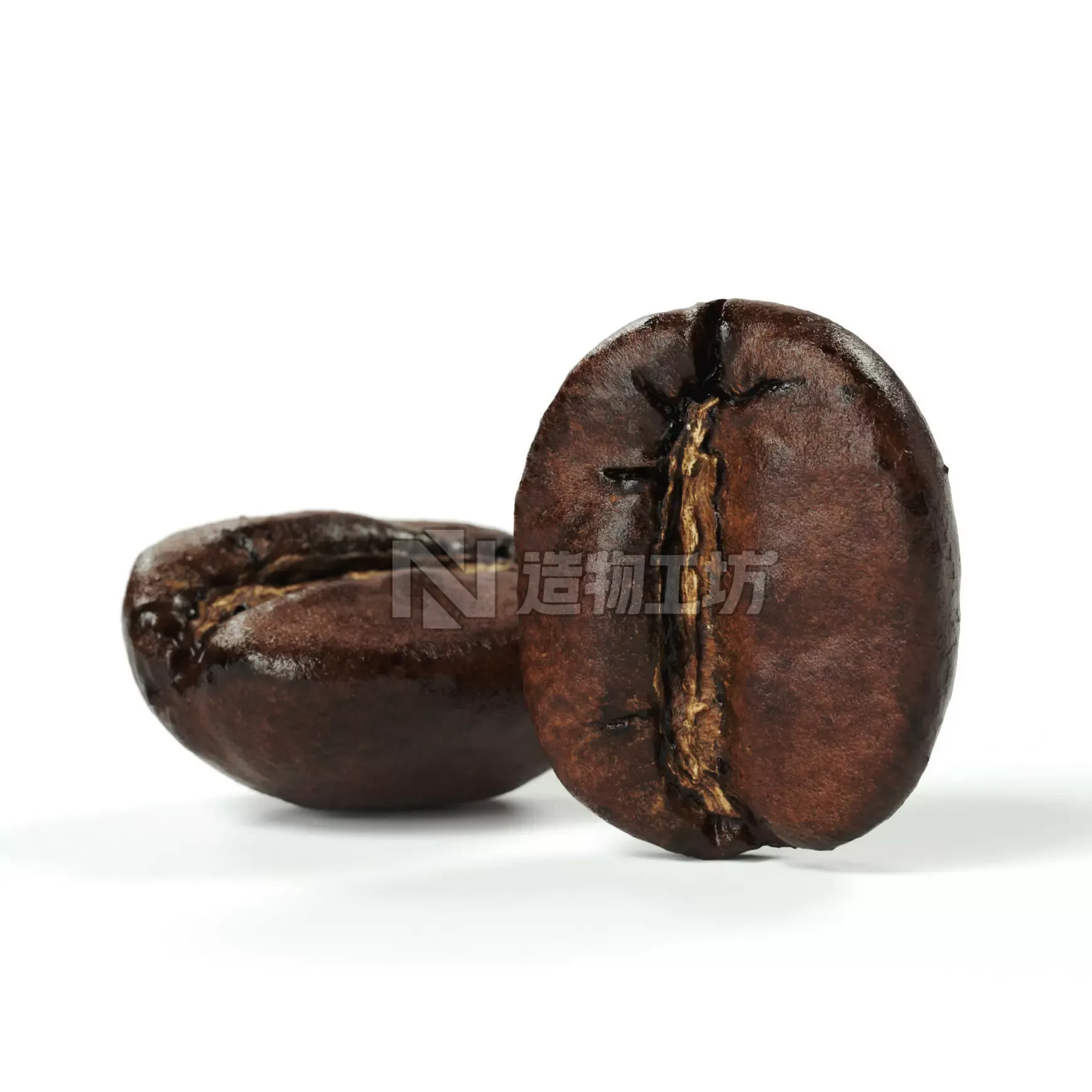 POLYPASTA - Coffeebean 02 3D model