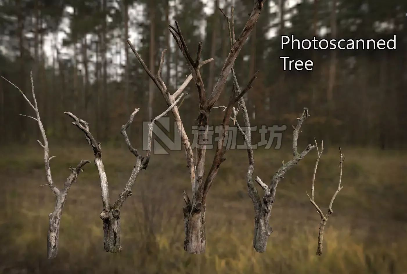 Photorealistic Photoscanned Tree Low-poly 3D model