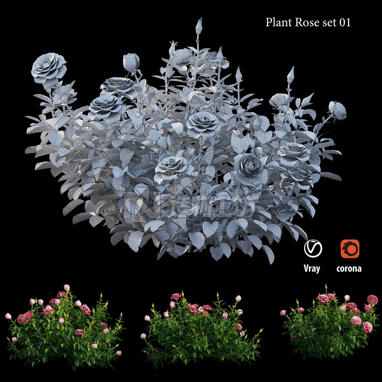 Plant rose set 01 3D model