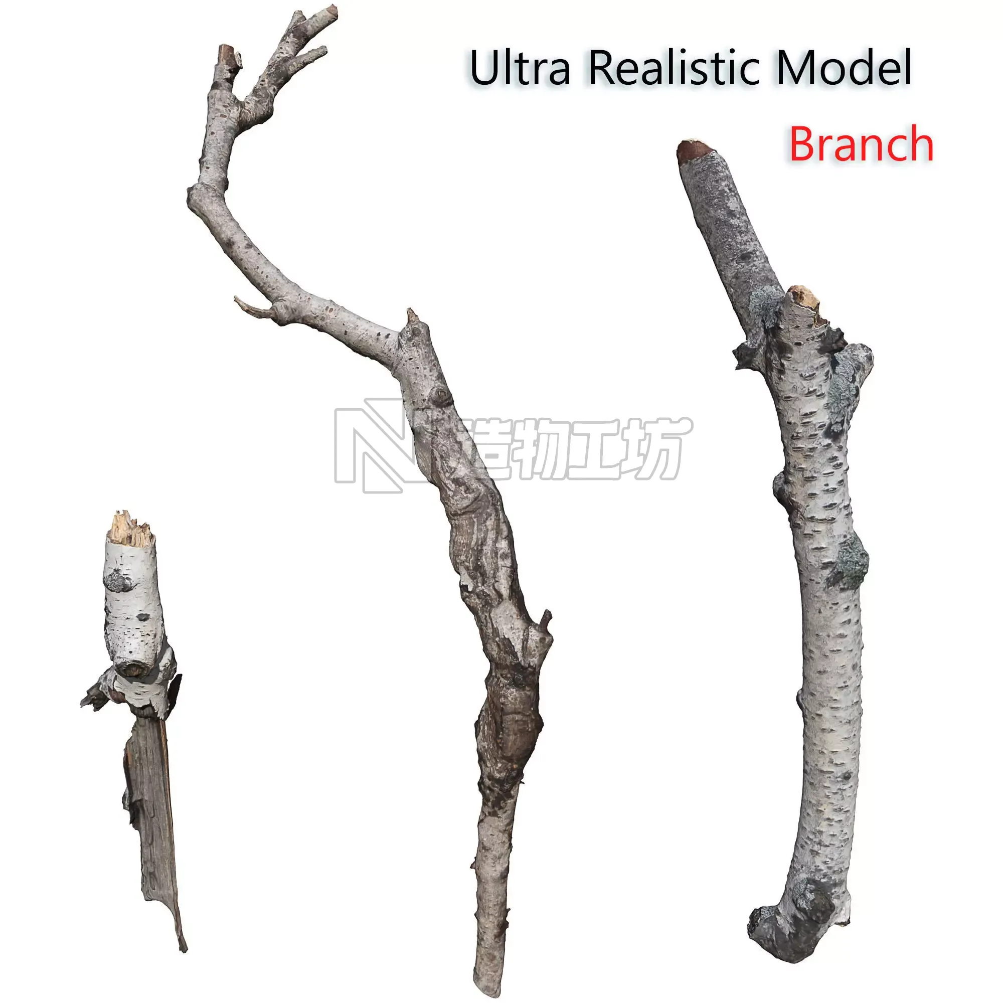 Birch branches Low-poly 3D model