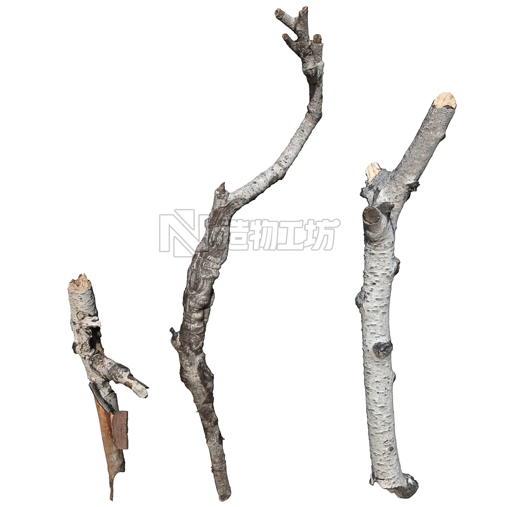 Birch branches Low-poly 3D model
